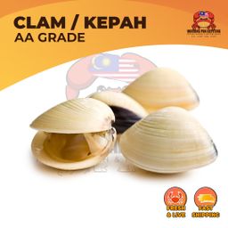 Kepah (100g)
