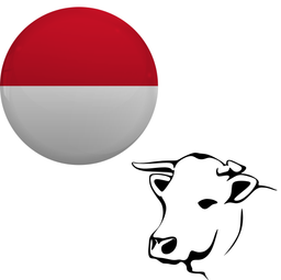 Indonesia - Qurban