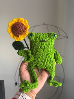 Leggy frog with sunflower