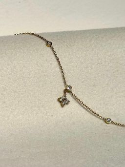 Chaîne au pied Rosa