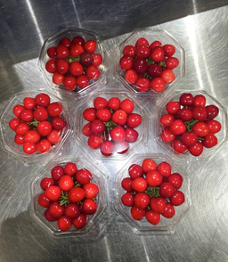 Yamagata Sweet Cherries 山形さくらんぼ