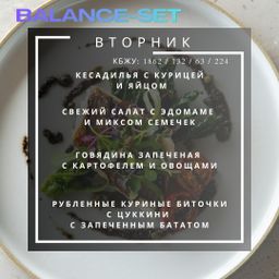 🔵🔵🔵🔵Full Day Set = 4 блюда/день (S)