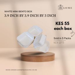 Mini White Bento Cake Boxes - 5 Pack 