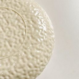 10400069 - FOOD STORAGE TRAY