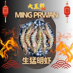 LIVE PRAWN 生猛明虾