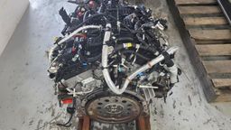 F-150/Lobo 3.5 2017-2020