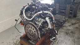 F-150/Lobo 3.5 2017-2020