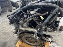 X-Terra 4.0 2005-2015