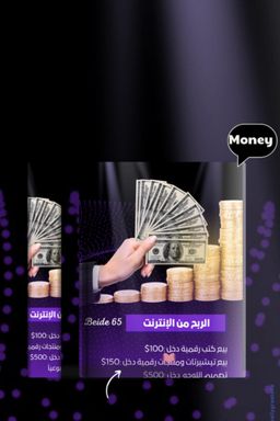 الربح من الإنترنت 