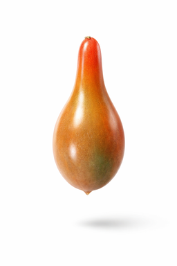 Elf Tears cherry tomato x 10 seeds 