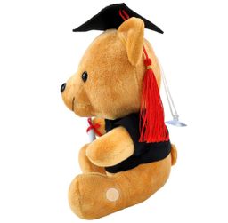 7 Inch Graduation Convo Holding Scroll