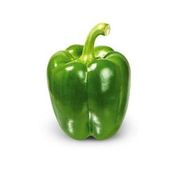 Green capsicum per pc