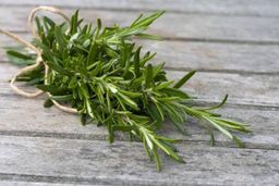 Organic rosemary bunch