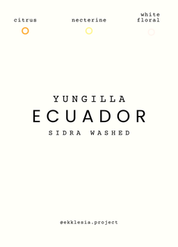 Ecuador Yungilla 