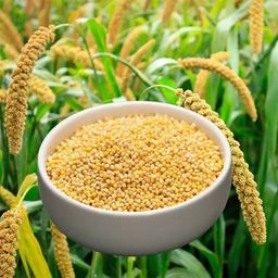 Millet 1kg
