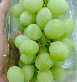 SWEET GLOBE GREEN GRAPE (500G)