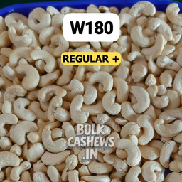W180 (Regular Plus)