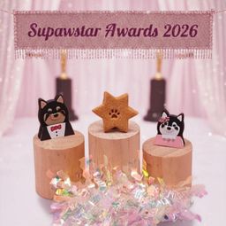 Eggyoyo Supawstars 30G