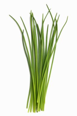 Fresh Chives 