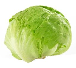 Lettuce Iceberg 