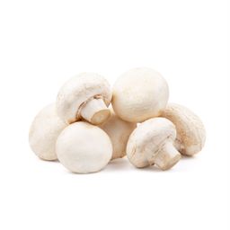 White Mushroom 