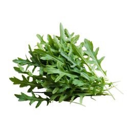 Baby Rocket- Aragula 