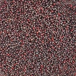 Mustard seeds (rai) 250g