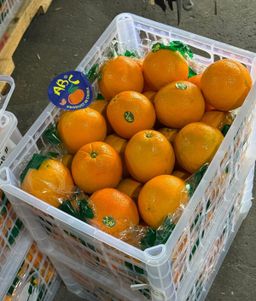 Lane Late Navel Oranges (By the Box) 