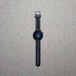 GARMIN FORERUNNER 55 