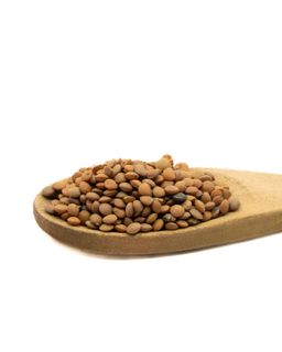 حبوب العدس البني الكندي (1 كجم) / Brown Lentil Seeds Canada (1kg)