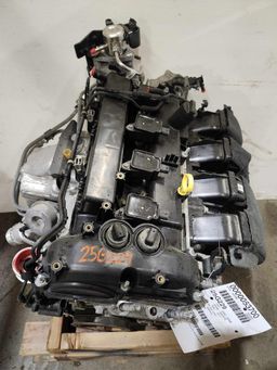 Escape 2.0 2013-2019