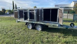 Remolque de plataforma EDUARD con jaula para perros – 2 compartimentos
