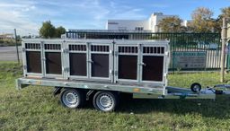 Remolque de plataforma EDUARD con jaula para perros – 2 compartimentos
