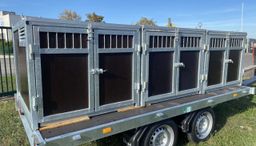 Remolque de plataforma EDUARD con jaula para perros – 2 compartimentos