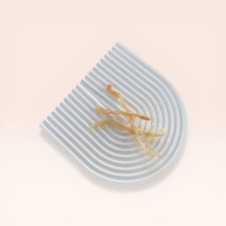 Dehydrated Pork Tendons