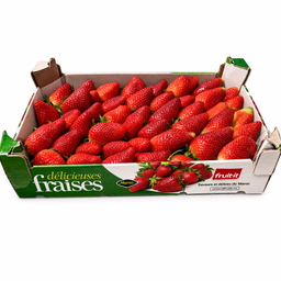 فراولة جامبو – المغرب (1 كجم) / Jumbo Strawberries – Morocco (1kg)