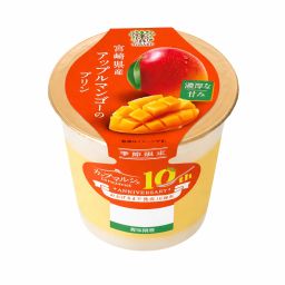 Japan Miyazaki Mango Pudding