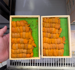 (FALL DOWN UNI) 250g 'Hamanaka Ogawa 浜中小川' Bafun Uni