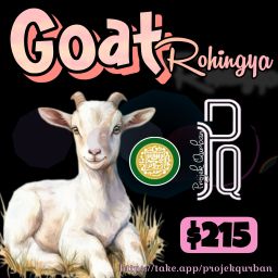Goat - Rohingya