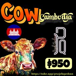 Cow - Cambodia