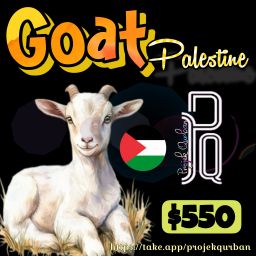 Goat - Palestine