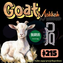 Goat - Makkah