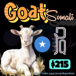 Goat - Somali
