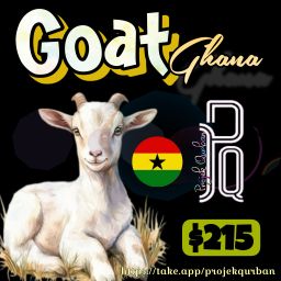 Goat - Ghana