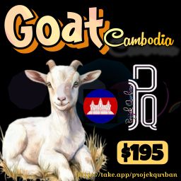 Goat - Cambodia