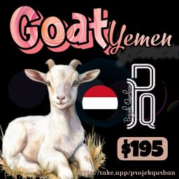 Goat - Yemen
