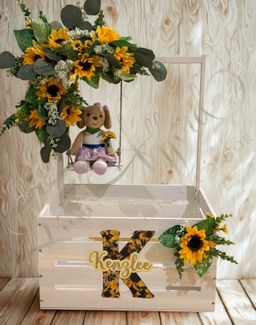 Baby Closet/ Crate Gift