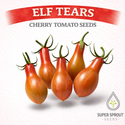 BULK Elf Tears cherry tomato x 50 seeds  