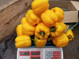 Yellow Bell Pepper 