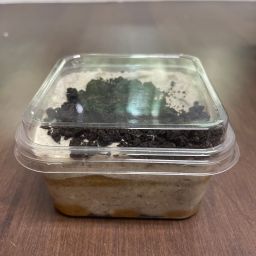 Tiramisu (Classic, Biscoff, Oreo, Banana)